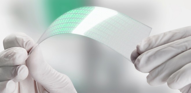 technician holding transparent flexible screen with binary numbers