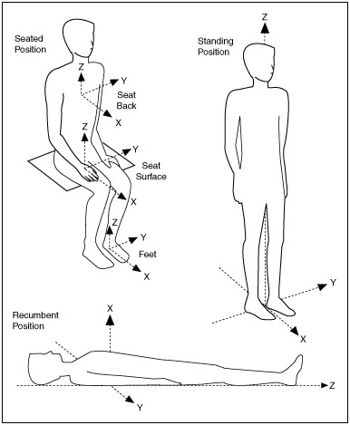 Body Vibration - an overview