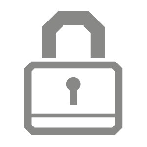 Lock icon, representing the security policies NI has in place for products and online interactions
