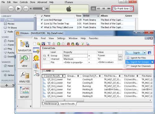 Verwendung einer Web-ähnlichen Suche zum Auffinden von Dateien in iTunes sowie Einsatz von Platzhaltern bei der erweiterten Suche in DIAdem DataFinder