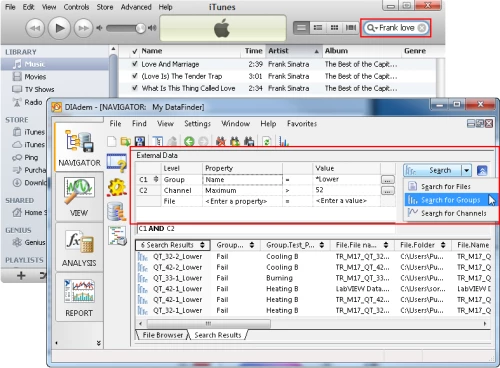 인터넷과 유사한 검색을 사용하여 iTunes에서 파일을 찾고 DIAdem DataFinder에서 와일드카드로 고급 검색 수행하기