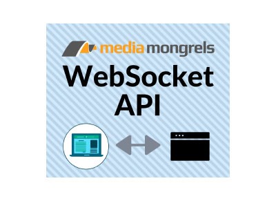 WebSockets API Download - NI