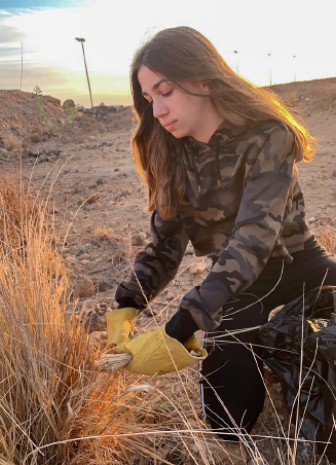 Student volunteer cleans up desert vegetation.