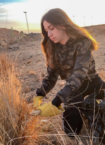 Student volunteer cleans up desert vegetation.