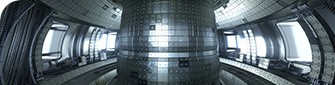 Abbildung eines nuklearen Tokamak