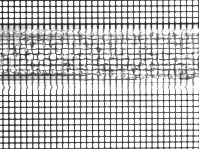 Inspecting transparent materials for material defects - NI