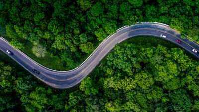 Automóviles circulan por un camino sinuoso a través de un bosque verde