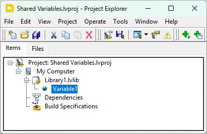 Shared Variable in the Project